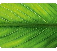 Edition Colibri Feuille Verte Tapis de Souris (24 x 19 cm) en Caoutchouc spécial extrêmement résistant à la déchirure avec Une Face inférieure Fortement adhésive pour Une Tenue optimale