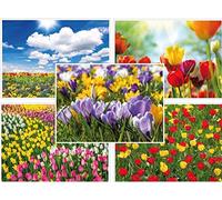 Edition Colibri Lot de 10 cartes postales de printemps - 5 motifs différents de tulipes, cloches de Pâques et crocus