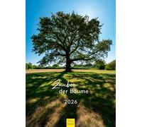 Edition Seidel Calendrier 2026 de qualité supérieure - Format A3 - Calendrier mural - Forêt - Nature - Arbres - Feuilles - Saisons - Paysage