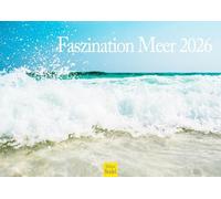 Edition Seidel Calendrier 2026 de qualité supérieure - Format A3 - Calendrier mural naturel - Plages de rêve - Côte - Vagues - Rochers - Plage - Coucher de soleil