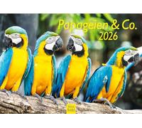 Edition Seidel Calendrier 2026 de qualité supérieure - Format DIN A4 - Calendrier mural - Calendrier mural - Calendrier animal - Perroquet, cacatoès, oiseaux - Nature