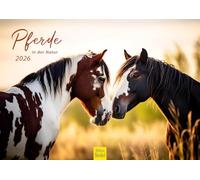 Edition Seidel Calendrier 2026 de qualité supérieure - Motif chevaux dans la nature - Format A3 - Calendrier mural - Motif chevaux - Animaux - Poulain - Jument - Étalon dans la nature