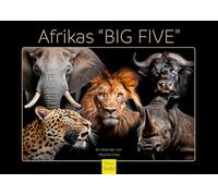 Edition Seidel Calendrier africain « Big Five » 2026 - Format A4 - Calendrier mural - Calendrier animal africain - Animaux sauvages - Bœuf - Buffle - Éléphant - Lion - Grand chat - Tigre - Guépard