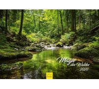 Edition Seidel Calendrier de qualité supérieure - La magie de la forêt 2026 - Format A4 - Calendrier mural - Nature forêt - Arbres