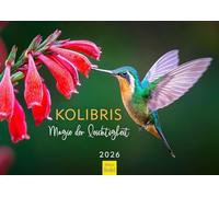 Edition Seidel Calendrier de qualité supérieure - Motif colibris - Magie de la légèreté - Format A3 - Calendrier mural avec images - Calendrier naturel - Oiseaux Christian Müringer