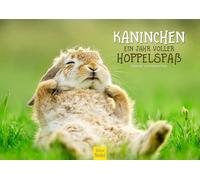 Edition Seidel Calendrier de qualité supérieure - Motif lapins - Une année pleine de plaisir - Format A3 - Calendrier mural - Animaux de compagnie - Nature - Amoureux des animaux - Melanie Viola