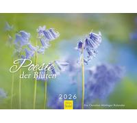 Edition Seidel Calendrier de qualité supérieure - Poésie des fleurs 2026 - Format DIN A3 - Calendrier mural naturel - Saisons - Fleurs et plantes Christian Müringer