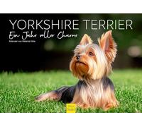 Edition Seidel Calendrier de qualité supérieure Yorkshire Terrier - Une année pleine de breloques 2026 - Format A3 - Calendrier mural - Animaux - Chiot - Chiot - - Race - Animal de compagnie