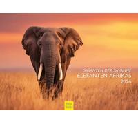 Edition Seidel Calendrier géant de la savane éléphants d'Afrique 2026 - Format A3 - Calendrier mural - Calendrier animal - Nature steppe