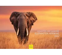 Edition Seidel Calendrier géant de la savane éléphants d'Afrique 2026 - Format A4 - Calendrier mural - Calendrier animal - Nature steppe