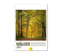 Edition Seidel Calendrier hebdomadaire 2027 de qualité supérieure - Format DIN A4 - Calendrier mural allemand - Nature forêt arbres phrases citations conscience saisons