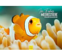 Edition Seidel Calendrier mural 2026 de qualité supérieure animaux marins Format DIN A3 Calendrier Dauphins baleines requins mer océan monde sous-marin - Melanie Viola