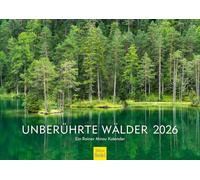 Edition Seidel Calendrier mural 2026 de qualité supérieure - Forêts intactes - Format DIN A3 - Calendrier mural naturel - Europe - États-Unis - Nouvelle-Zélande - Forêt viennoise - Forêt de bouleaux