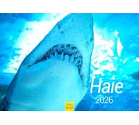 Edition Seidel Calendrier mural 2026 de qualité supérieure - Format A3 - Calendrier mural - Calendrier animaux requins - Animaux marins - Poissons prédateurs - Océan - Monde sous-marin