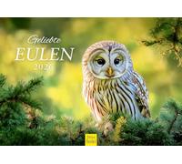 Edition Seidel Calendrier mural 2026 de qualité supérieure - Format A3 - Motif chouettes - Motif : hiboux - Oiseau sauvage Christian Müringer