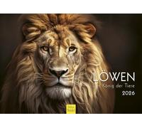 Edition Seidel Calendrier mural 2026 de qualité supérieure - Format A3 - Motif lion - Animaux sauvages - Prédateur - Chat - Lion - Grand chat - Tigre - Guépard