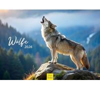 Edition Seidel Calendrier mural 2026 de qualité supérieure - Format A3 - Motif loups - Chien - Chiot - Race de chien - Animaux de compagnie