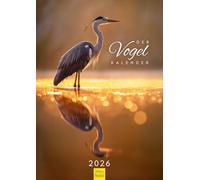 Edition Seidel Calendrier mural 2026 de qualité supérieure - Format A3 - Motif oiseaux - Toucan de pêche - Flamant rose - Cardinal rouge - Amérique du Nord - Amérique du Sud - Asie, Afrique, Christian