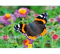 Edition Seidel Calendrier mural 2026 de qualité supérieure - Format A3 - Motif papillons et insectes