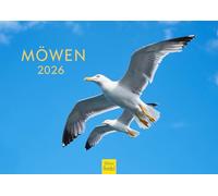 Edition Seidel Calendrier mural 2026 de qualité supérieure - Format A4 - Motif mouettes - Oiseaux aquatiques - Animaux sauvages