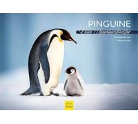 Edition Seidel Calendrier mural 2026 de qualité supérieure - Format A4 - Motif pingouins - Pôle Sud - Antarctique - Pingouin - Pingouin - Oiseaux - Oiseaux de mer - Melanie Viola