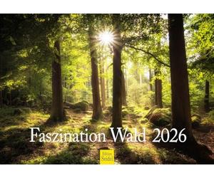 Edition Seidel Calendrier mural 2026 de qualité supérieure - Format A4 - Nature - Arbres - Forêts - Cascade - Clairières - Lac forestier - Montagnes et vallées