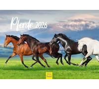 Edition Seidel Calendrier mural 2026 de qualité supérieure - Format A5 - Motif chevaux - Animaux - Poulain - Jument - Étalon - Poney