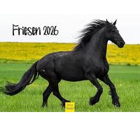 Edition Seidel Calendrier mural 2026 de qualité supérieure - Format A5 - Motif chevaux - Frise - Chevaux - Animaux - Poulain - Jument