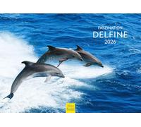 Edition Seidel Calendrier mural 2026 de qualité supérieure - Format DIN A4 - Calendrier mural - Calendrier animal - Dauphin, baleines, orques, mammifères, mer, océan
