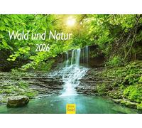 Edition Seidel Calendrier mural 2026 de qualité supérieure - Format DIN A5 - Arbres - Chutes d'eau - Clairières - Lac forestier - Montagnes et vallées