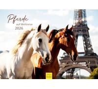 Edition Seidel Calendrier mural 2026 de qualité supérieure - Motif chevaux sur le tour du monde - Format A3 - Calendrier mural - Motif chevaux - Animaux - Poulain - Jument - Étalon - Voyage
