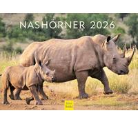 Edition Seidel Calendrier mural 2026 de qualité supérieure - Motif rhinocéros - Format A4 - Afrique - Asie du Sud-Est - Rhinocéros - Animaux sauvages