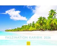 Edition Seidel Calendrier mural de qualité supérieure - Fascination des Caraïbes 2026 - Format A4 - Caraïbes, Maldives, Seychelles, République dominicaine, plage, mer, côte, palmiers