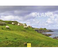 Edition Seidel Calendrier mural de qualité supérieure Irlande - L'île verte 2026 - Format A3 - Calendrier mural Europe Irlande Dublin - Île verte - Mer - Parc national