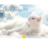 Edition Seidel Calendrier mural de qualité supérieure - Motif chats - Format 2026 - Format A3 - Pour animaux de compagnie, chatons, chatons, chatons, chatons