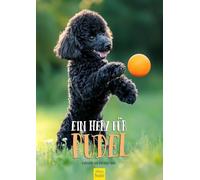 Edition Seidel Calendrier mural de qualité supérieure - Un cœur pour caniche 2026 - Format A3 - Calendrier mural pour chien - Chiot - Race de chien - Animal de compagnie - Melanie Viola