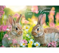 Edition Seidel Calendrier Premium Fascination lièvres et lapins 2025 Format DIN A3 Calendrier mural en allemand avec de belles images motif animaux sauvages de la forêt de compagnie