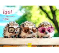Edition Seidel Calendrier Premium Hérisson 2026 Format DIN A4 Calendrier mural Calendrier animalier avec des images drôles et cool Animaux Faune