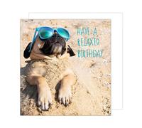 Edition Seidel Carte d'anniversaire carrée de qualité supérieure avec enveloppe - Carte de joyeux anniversaire pour femme, homme, chien de plage, carlin, détente (GQ293 SW024)