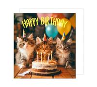 Edition Seidel Carte d'anniversaire carrée de qualité supérieure avec enveloppe. Carte de vœux Happy Birthday pour femme homme fille fils garçon enfant ami motif chats et fête (GQ149 SW024)