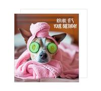 Edition Seidel Carte d'anniversaire carrée de qualité supérieure avec enveloppe. Carte de vœux Happy Birthday pour femme maman fille petite amie collègue motif chien relax (GQ160 SW024)