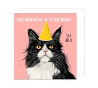 Edition Seidel Carte d'anniversaire carrée de qualité supérieure avec enveloppe. Carte de vœux Happy Birthday avec dicton pour femme homme petite amie ami motif chat humoristique (GQ180 SW024)