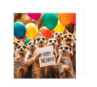 Edition Seidel Carte d'anniversaire carrée de qualité supérieure avec enveloppe. Carte de vœux Happy Birthday pour femme homme fille garçon enfant ami motif suricate (GQ175 SW024)