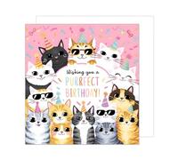 Edition Seidel Carte d'anniversaire carrée premium avec enveloppe. Carte d'anniversaire joyeux anniversaire pour homme, femme, enfant, chats cool, humour drôle (GQ331 SW024)