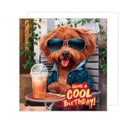 Edition Seidel Carte d'anniversaire carrée premium avec enveloppe. Carte de joyeux anniversaire pour femme, homme, chien cool, humour drôle (GQ295 SW024)