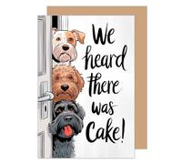 Edition Seidel Carte d'anniversaire de qualité supérieure avec enveloppe - Carte de vœux avec inscription amusante - Pour homme, femme, enfant, chien - (G3636 SW024)