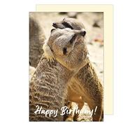 Edition Seidel Carte d'anniversaire de qualité supérieure avec enveloppe, carte de vœux Billet Happy Birthday Carte de vœux Homme Femme Suricate (G3407 SW023)
