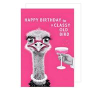 Edition Seidel Carte d'anniversaire premium avec enveloppe. Carte de vœux avec inscription Billet d'anniversaire homme femme autruche humour drôle (G3580 SW024)
