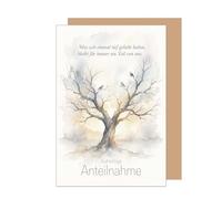 Edition Seidel carte de condoléances premium avec enveloppe. Message sincères condoléances compassion réconfort amour espoir force confiance (T1324 SW026)