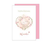 Edition Seidel Carte de vœux de naissance de qualité supérieure avec enveloppe, carte de bébé, carte d'événement, carte de voeux, bonjour, petit miracle, lapin, cœur, évènement, fille (E267 SW023)